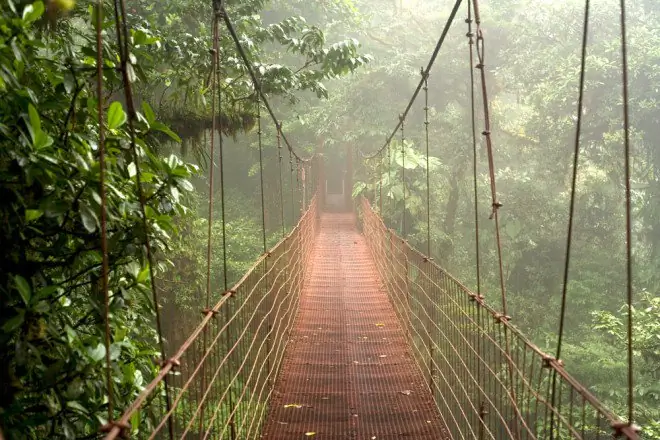 Коста-Рика, Монте Верде, Монте Верде Облако Форрест, Веревочный мост