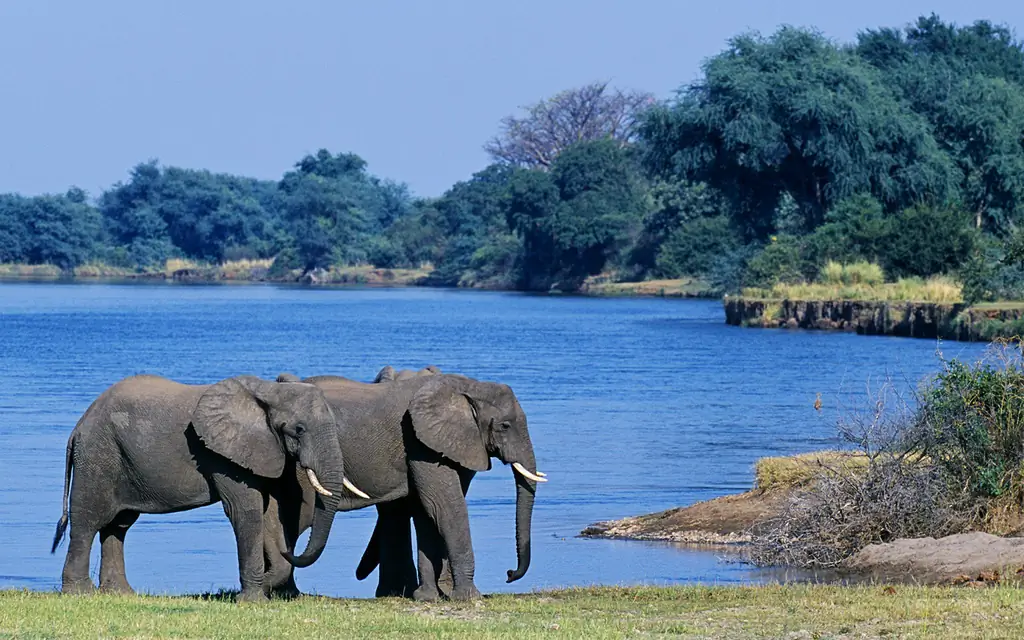 Замбези, Африка