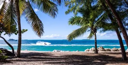 Предупреждение о сделке: авиабилеты туда и обратно на Арубу начинаются от 295 долларов