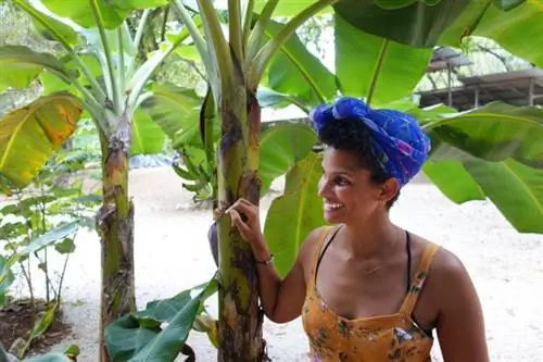 История путешественника: «Почему (и как) я переезжаю с семьей за границу»