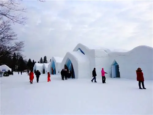 Сон на льду: Hotel de Glace