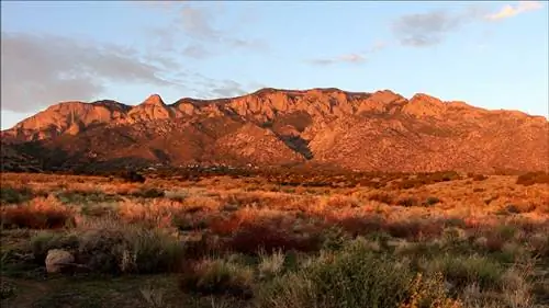 Во все тяжкие в Альбукерке
