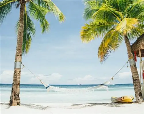 Перелет: на Гранд-Каймановы острова всего за 290 долларов в оба конца