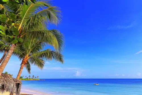 Перелет без пересадок из Майами на Ямайку всего за 296 долларов