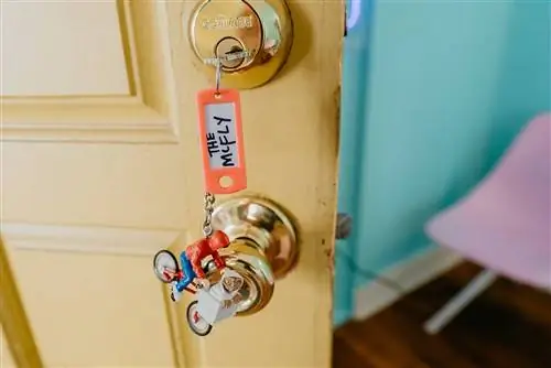 Вернитесь в 80-е в этом Airbnb, вдохновленном Марти МакФлаем