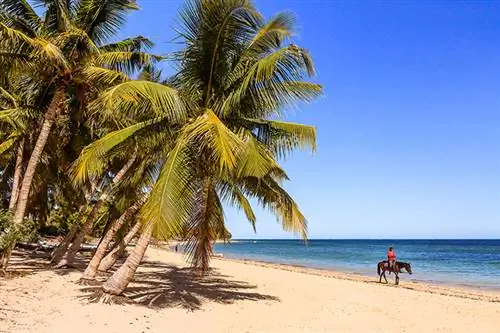 Самые красивые Airbnbs в Ифати, Мадагаскар