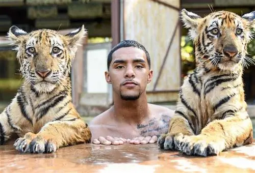 Брат-природа рассказывает о заражении самой смертельной формой малярии