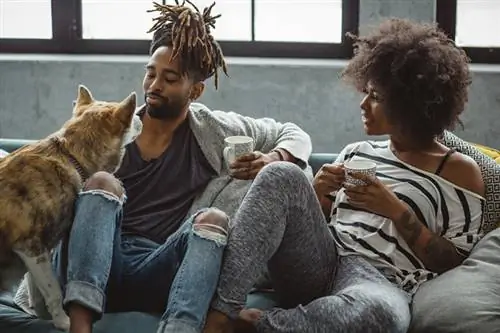 Поддержите эти красивые чернокожие объекты аренды Airbnb по всей стране