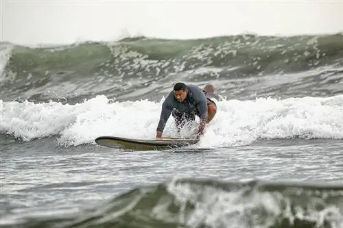 Банджи-джампинг, прыжки в ущелье, погружение с акулами. История путешественника