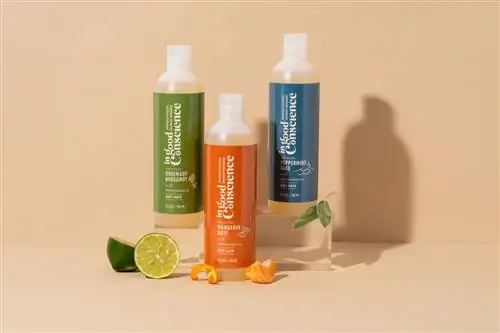 Познакомьтесь с владельцем In Good Conscience: экологически безопасного велнес-бренда, принадлежащего чернокожему