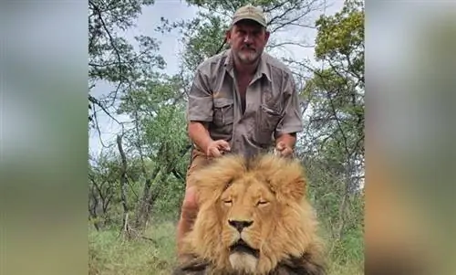 Охотник за трофеями найден мертвым в Южной Африке