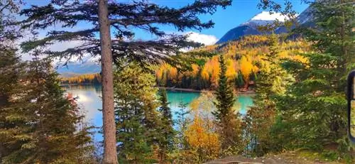 Грозное, но потрясающее шоссе Сьюард на Аляске