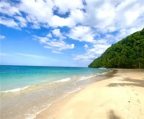 Alma De Samana станет первым курортом в Доминиканской Республике, принадлежащим афроамериканке