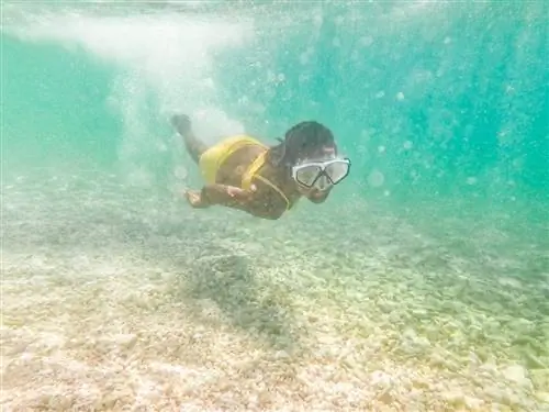 8 лучших сухих сумок для вашего следующего водного приключения