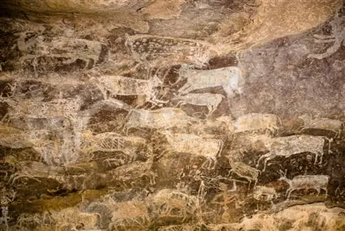 Сцена охоты в Бхимбетке