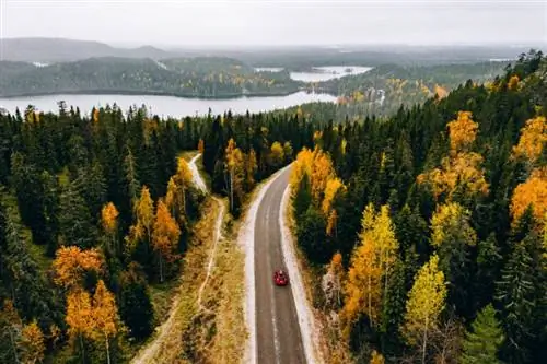 Автомобиль на дороге посреди леса в Финляндии