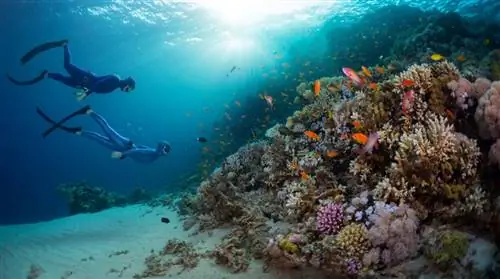 Красное море, еще одна достопримечательность этого места.