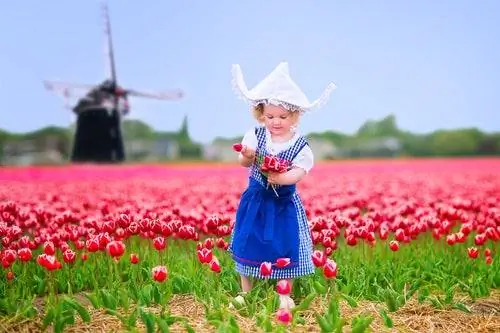 Голландия Голландия