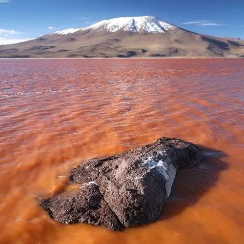Лагуна Колорада