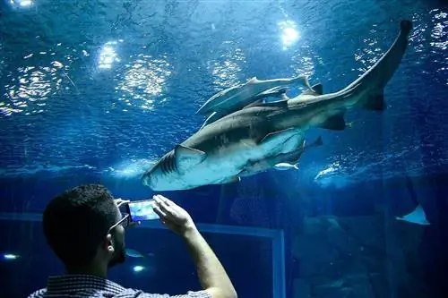 AquaRio, один из аквариумов Америки.