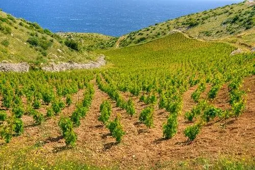 Остров Хвар