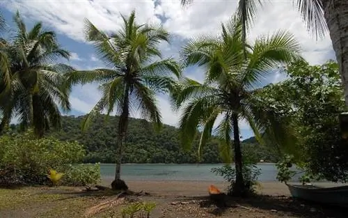 Пляж в Утрии