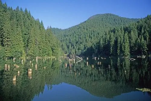 Озеро Рошу в Румынии.