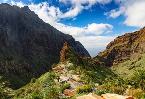 8 интересных фактов о Канарских островах