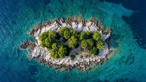 Фотография сделана с помощью дрона