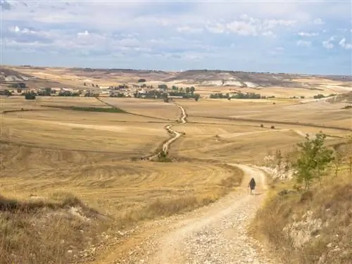 центральное плато