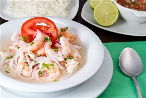 Лучшее из эквадорской кухни