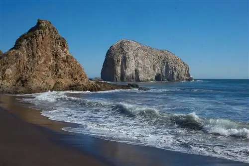 Конституция Скалы