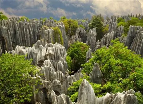 Лунанский каменный лес