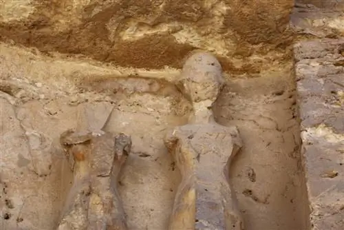 Деталь гробницы фараонов