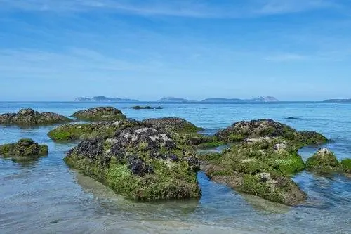 Остров Сиес