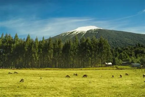 Пейзаж национального парка Хорнопирен