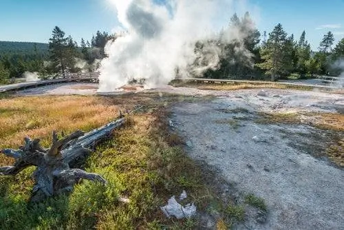 Гейзеры в Йеллоустоуне