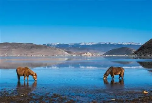 Озеро Напахай