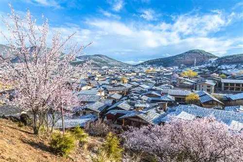 Мифический Шангри-Ла, город у подножия Тибета