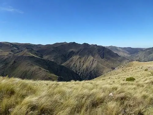 Сьеррас Чикас в Агуа де Оро