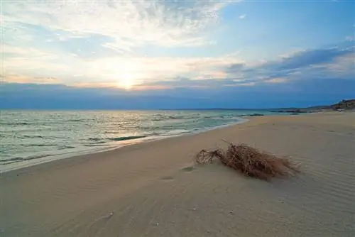 побережье Каспийского моря