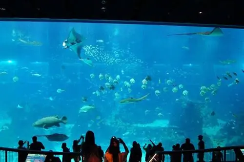 БЫТЬ. Аквариум