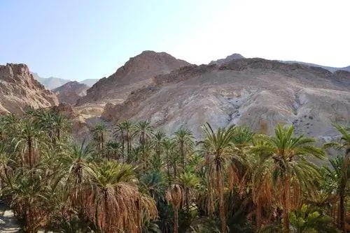 Нефта Оазис в Тунисе