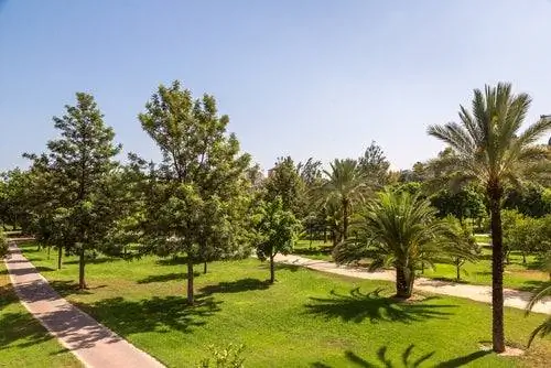 Сад Турия в Валенсии