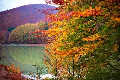 6 самых красивых лесов Испании