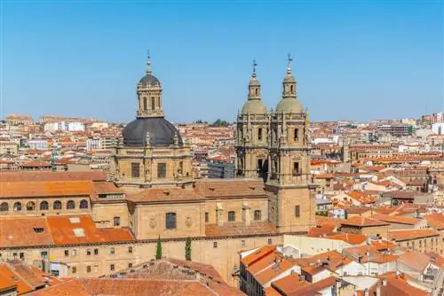 Внешний вид духовенства