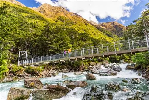 Routeburn Trail, одно из лучших мест для треккинга