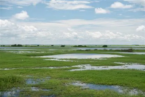 Комплекс лагуны в Сьенага-Гранде-де-Санта-Марта
