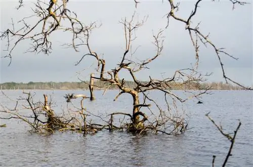 Уникальный заповедник Сьенага-Гранде-де-Санта-Марта