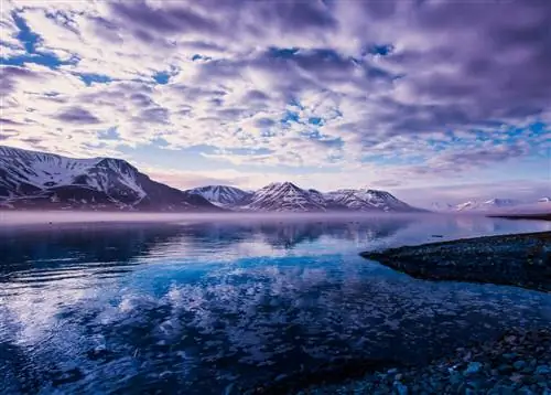 Зима на Шпицбергене: приключение на Северный полюс
